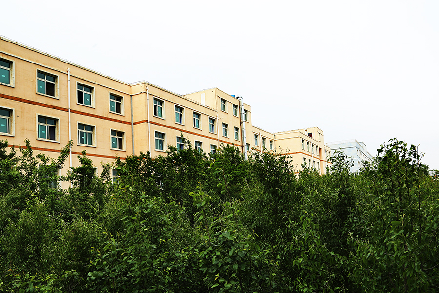 家長為什么讓你去甘肅秦隴技工學校而不是去汽修店呢？